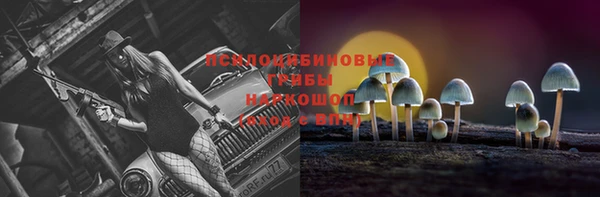 прущий лед Горнозаводск
