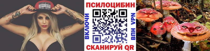 где можно купить Няндома Галлюциногенные грибы MAGIC MUSHROOMS