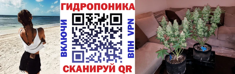 дарнет шоп  Няндома  МАРИХУАНА ГИДРОПОН 